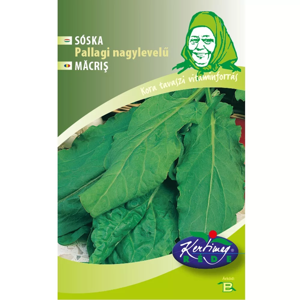 aranytalicska20261020210716156531
