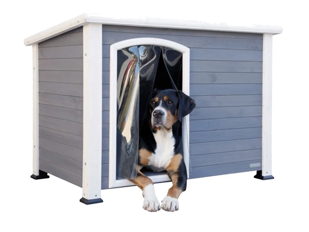 format120261020172909104146