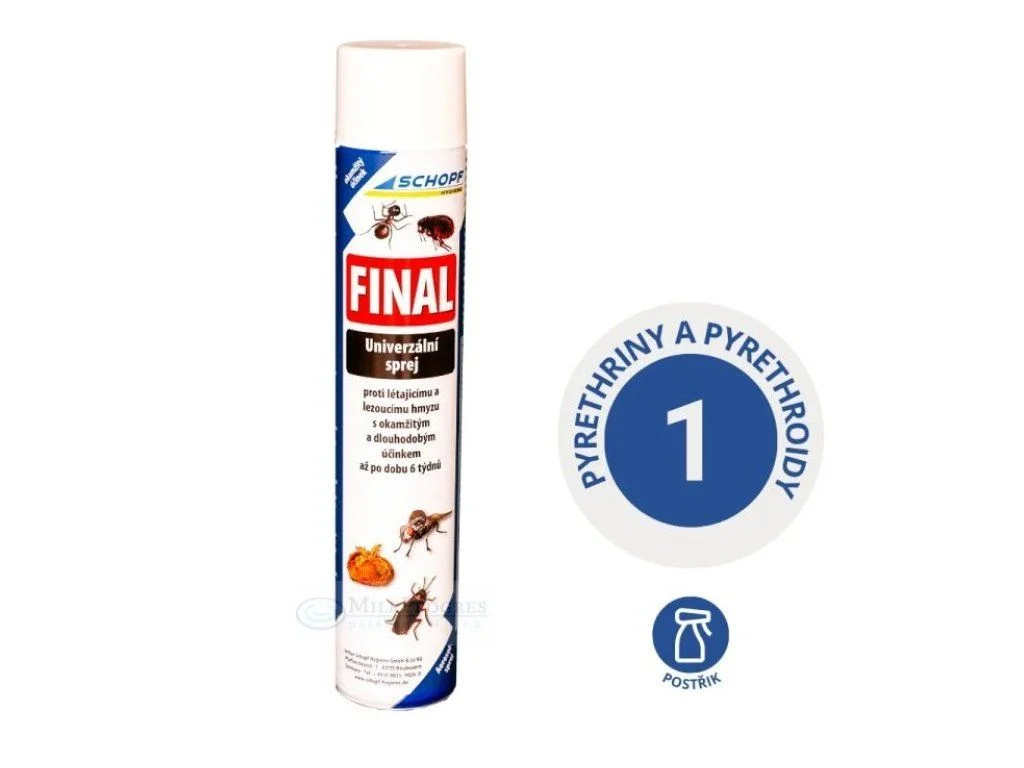 format120261020193857137459