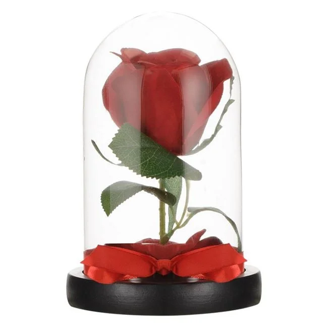 jumbowebshop20261020191403131546