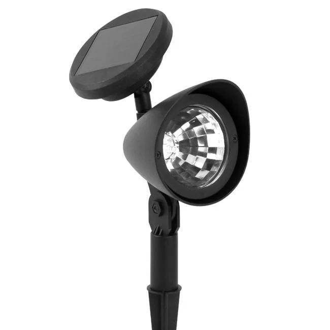 jumbowebshop20261020203629149935