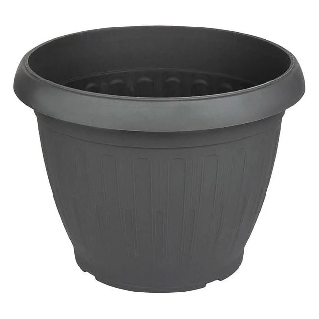 jumbowebshop20261020204156150886