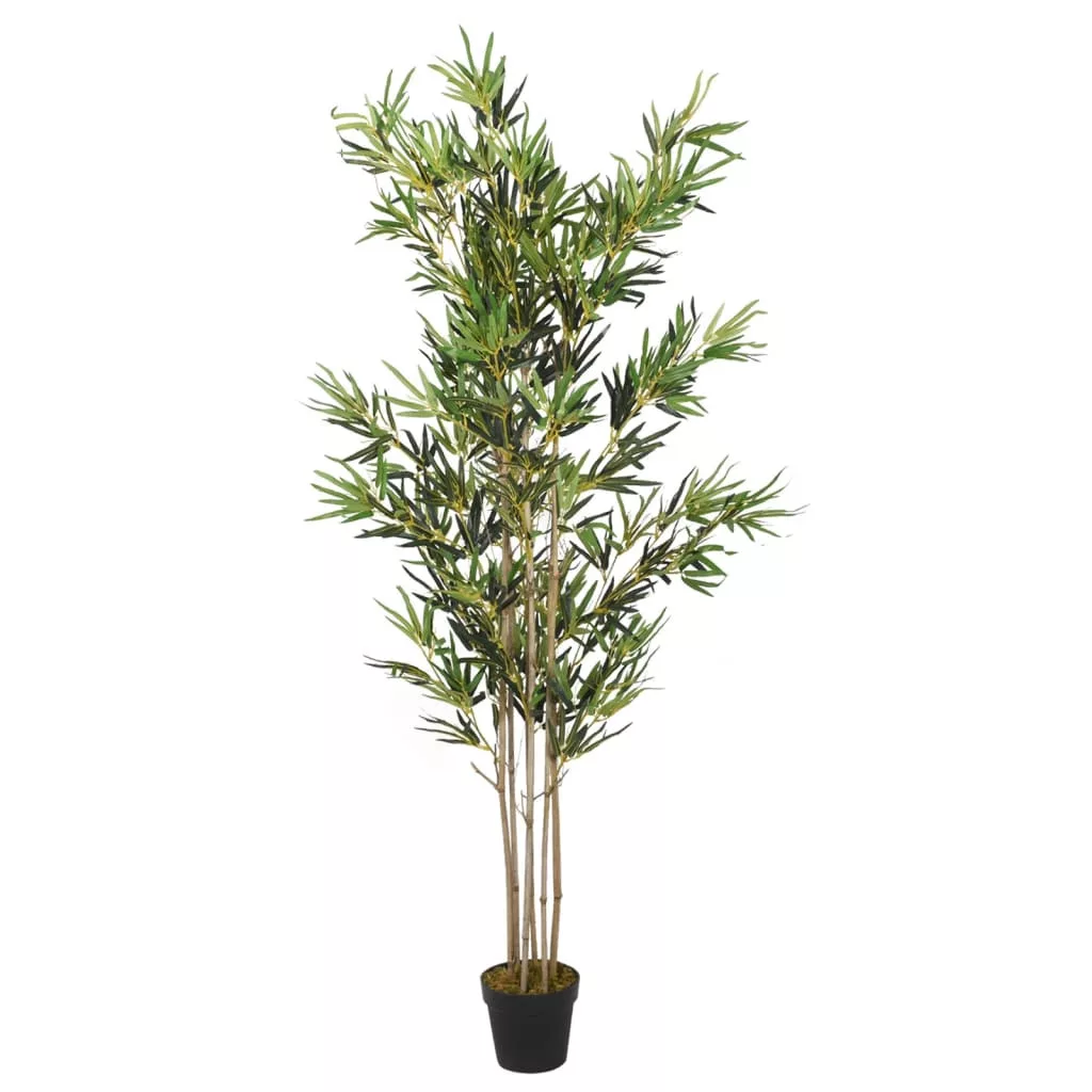 kissvilag-120261022193257378446