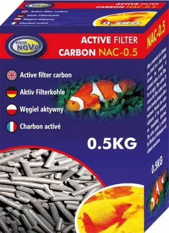 koi-kert20261020202356147004