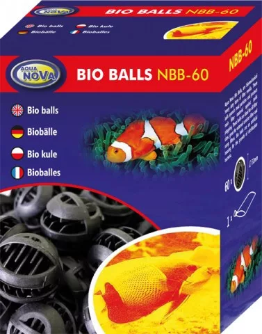 koi-kert20261020202400147020