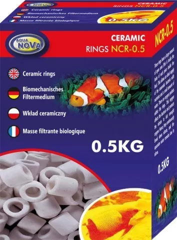 koi-kert20261020202406147052